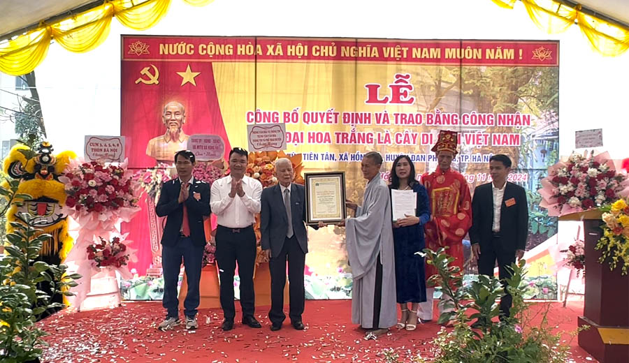 Cây[-]đầu[-]tiên[-]của[-]huyện[-]Đan[-]Phượng[-]được[-]công[-]nhận[-]Cây[-]Di[-]sản[-]Việt[-]Nam